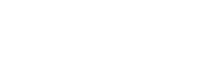 Verona Visa – візова агенція